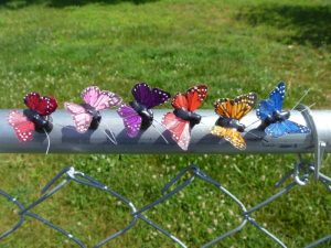 Butterfly Geocache Containers