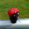 Lady Bug Geocaching Container