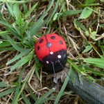Lady Bug Geocaching Containers