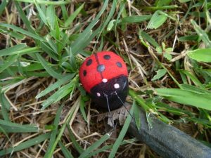 Lady Bug Geocaching Containers