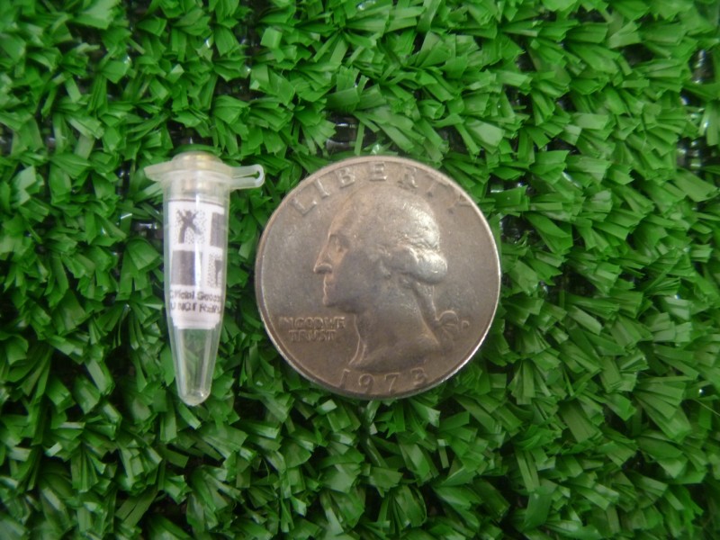 Magnetic Clear Micro Tube Geocache