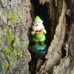 Gnome Geocache Container