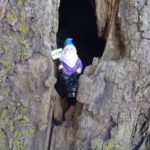 gnome purple geocache