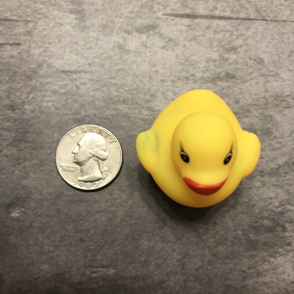 Magnetic Micro Rubber Ducky Geocaching Containers | Geocache Hides
